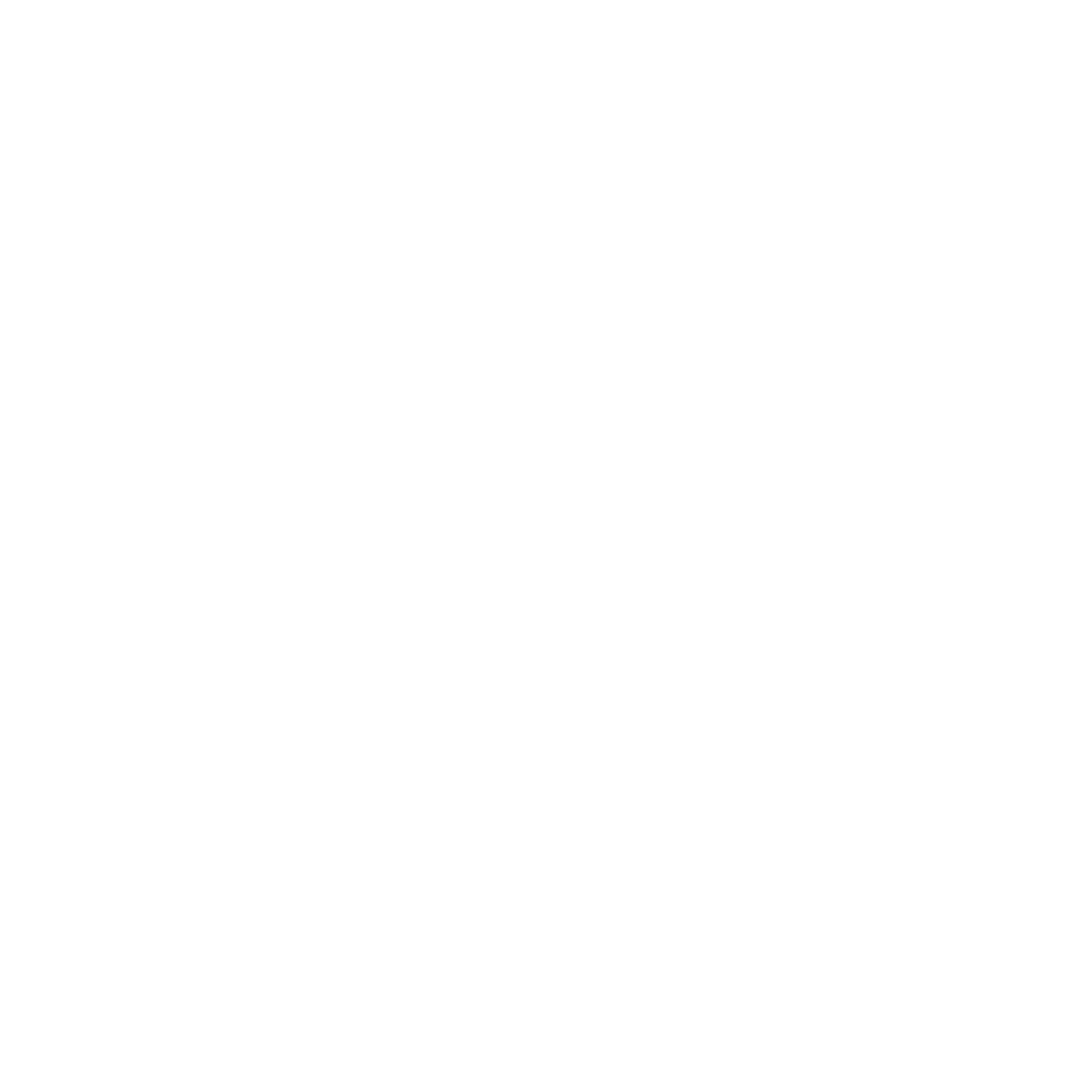 Drone P&C