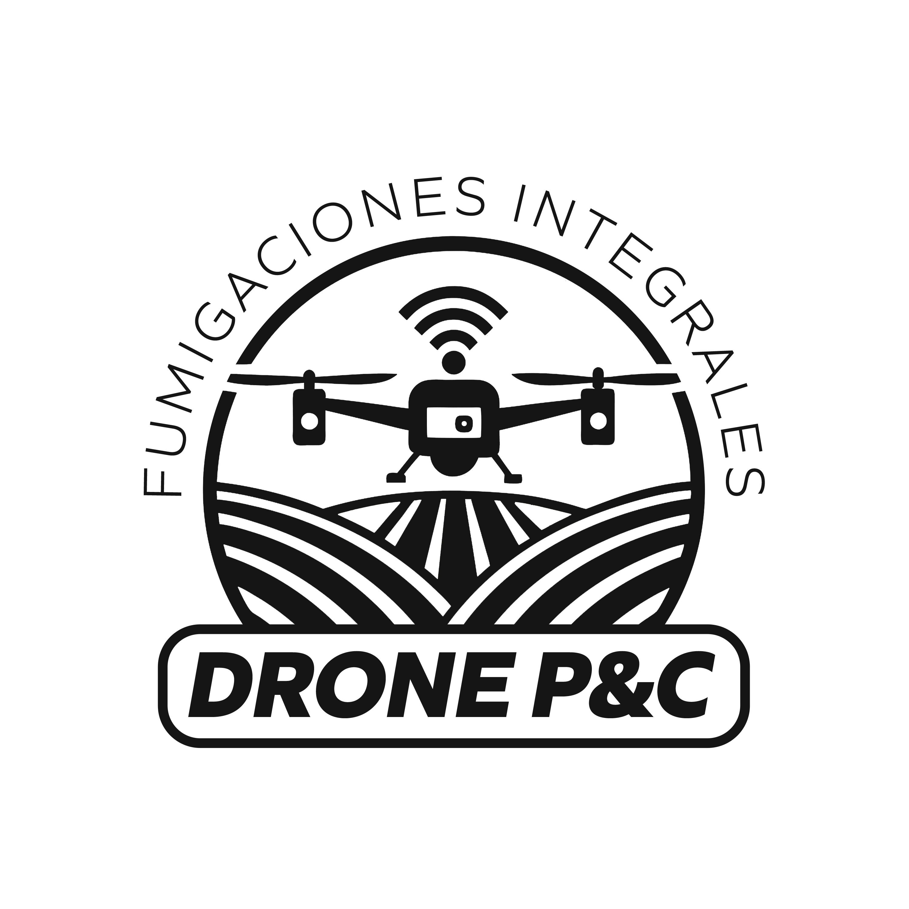 Drone P&C
